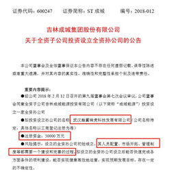 90后女董秘的尴尬情人节 一份简单的公告为何一年后吃了t